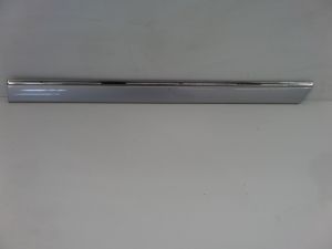 Left Rear Door Rub Strip Molding Silver